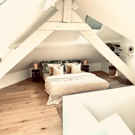 B&B Maison 헨트