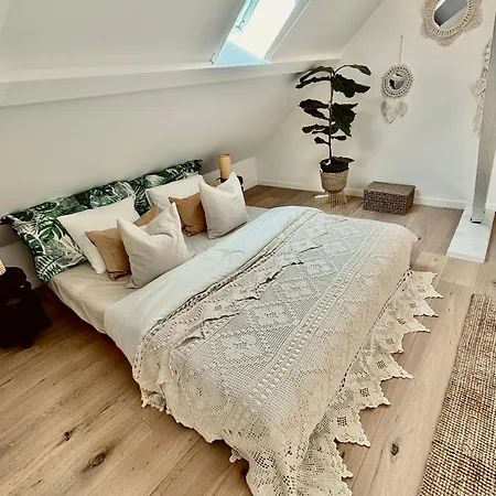 Maison * Gent